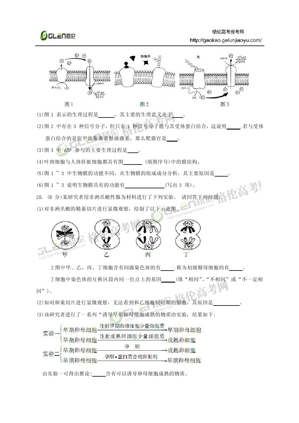 2014年江苏生物高考真题