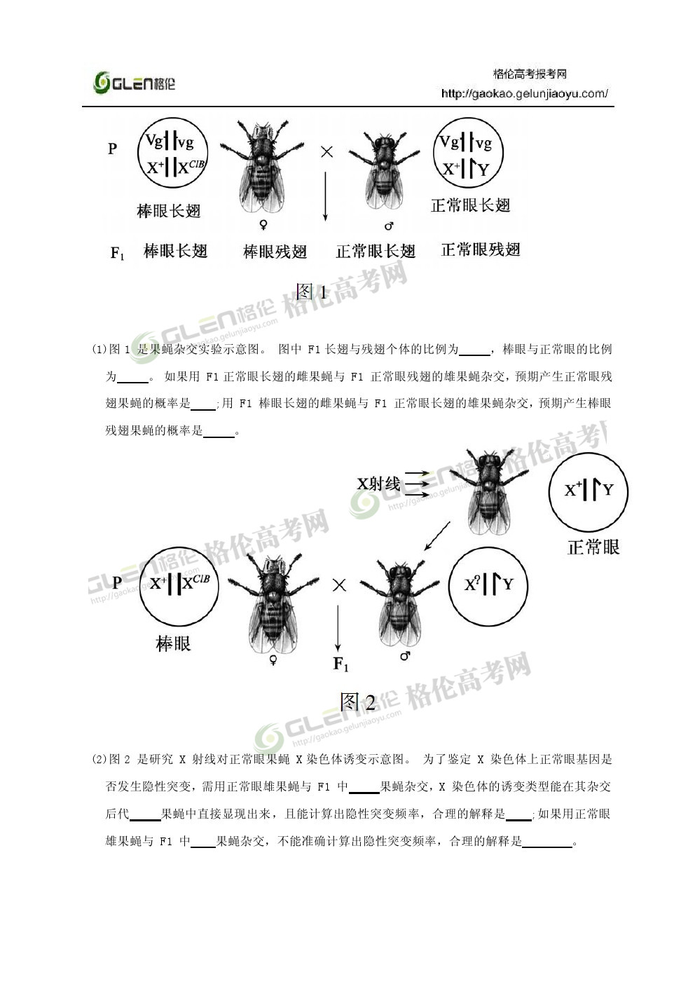 2014年江苏生物高考真题